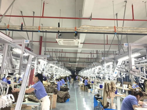 技能斷層與技術流失 當代服裝工廠工人技能下降的深層解析